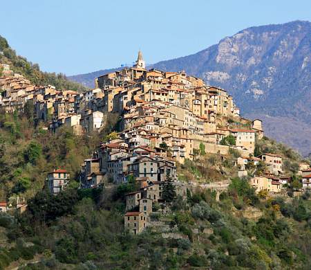 APRICALE 